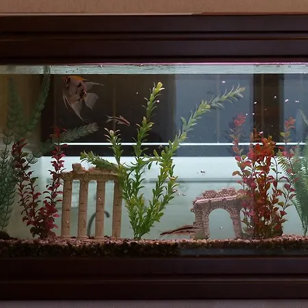 Apartment Sea In The Palm Of Your Hand