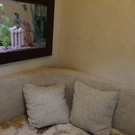 Apartment Sea In The Palm Of Your Hand Odessa